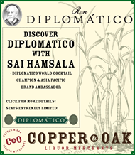 DISCOVER DIPLOMATICO WITH SAI HAMSALA